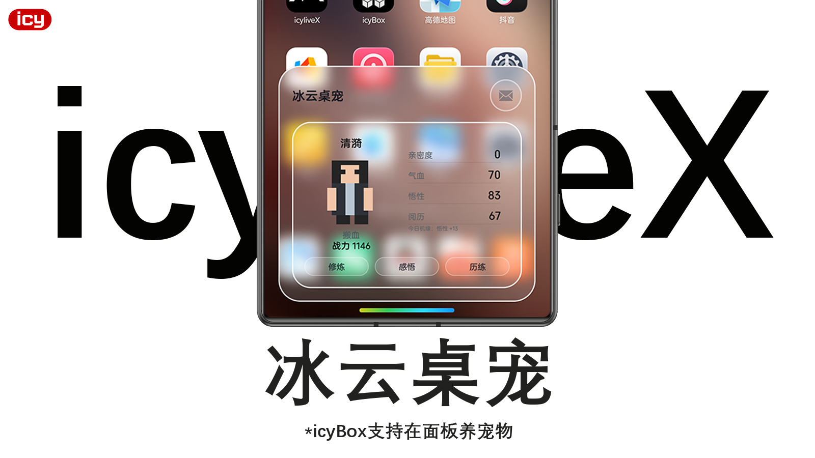 icyliveX poster 25