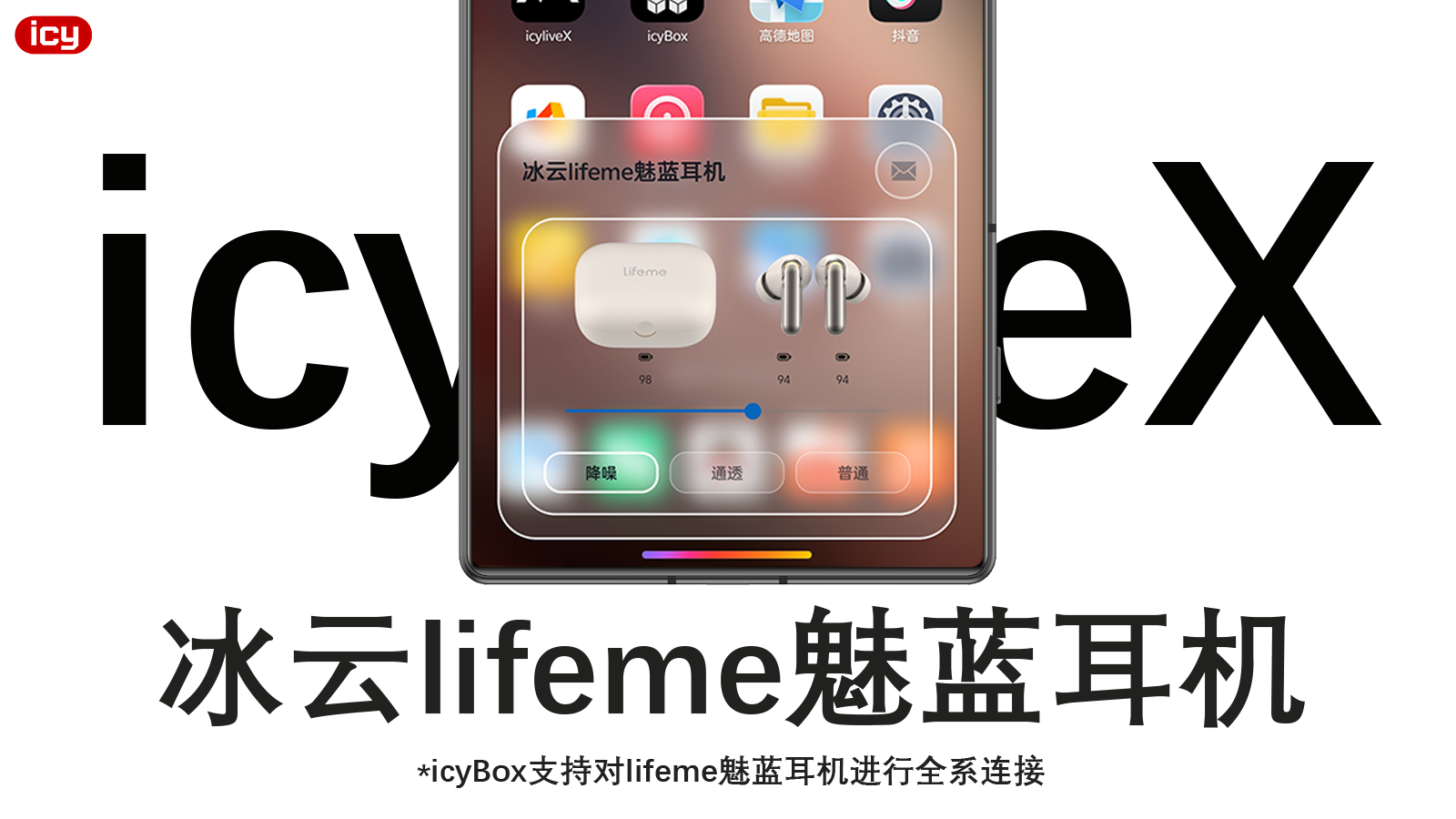 icyliveX poster 9